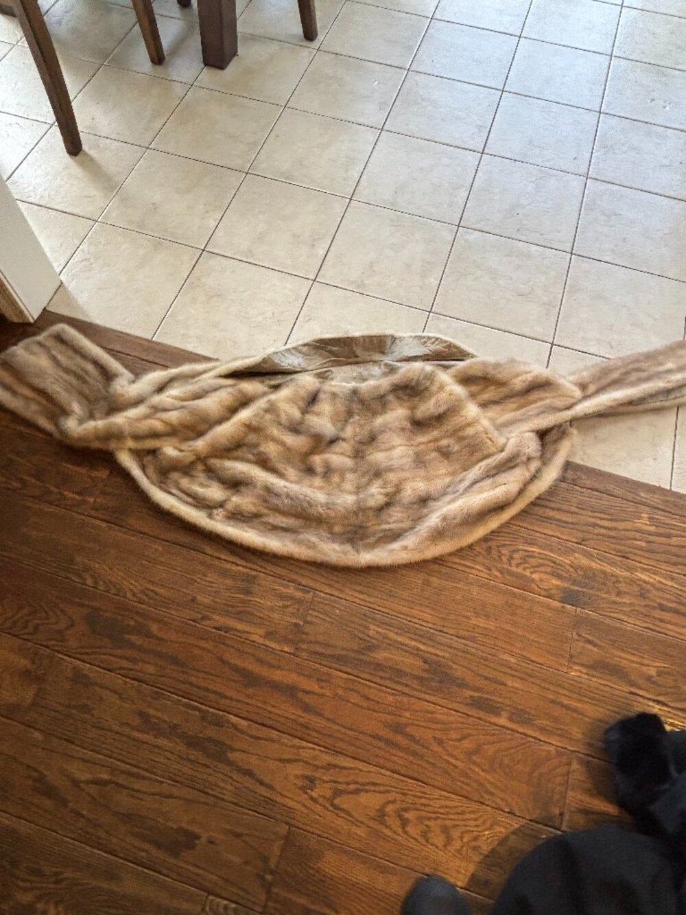 EMBA Argenta natural grey mutation mink